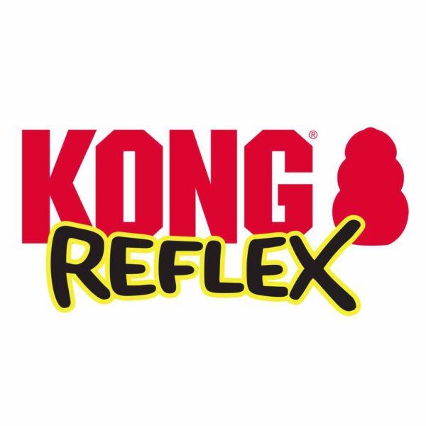 Kong Reflex.jpg